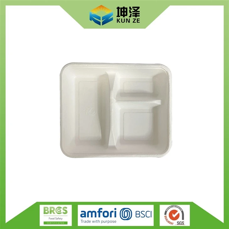 Biodegradable 3 Compartment Container