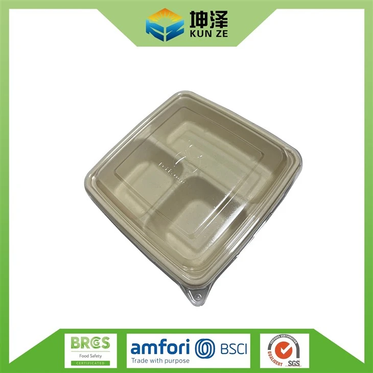 Large Buffet Trays With Lids