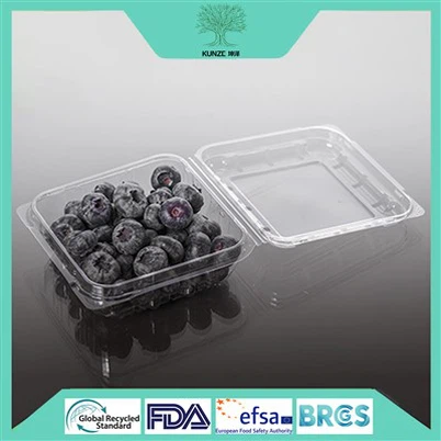 Blueberry Clamshell pakend