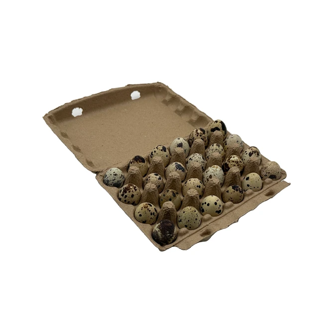 Quail Egg Cartons